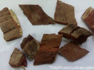 H&igrave;nh ảnh vị thuốc huyết gi&aacute;c